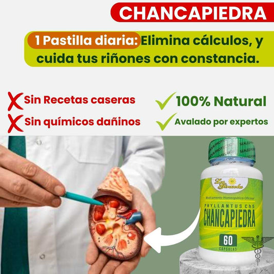 ChancaPiedra ®